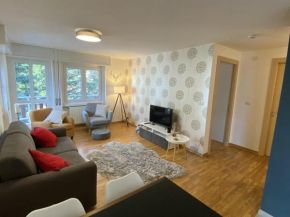 Clotes modern apartment, 50m from slopes - sleeps 6-8, 2 bath - SauzeHoliday Sauze D'oulx